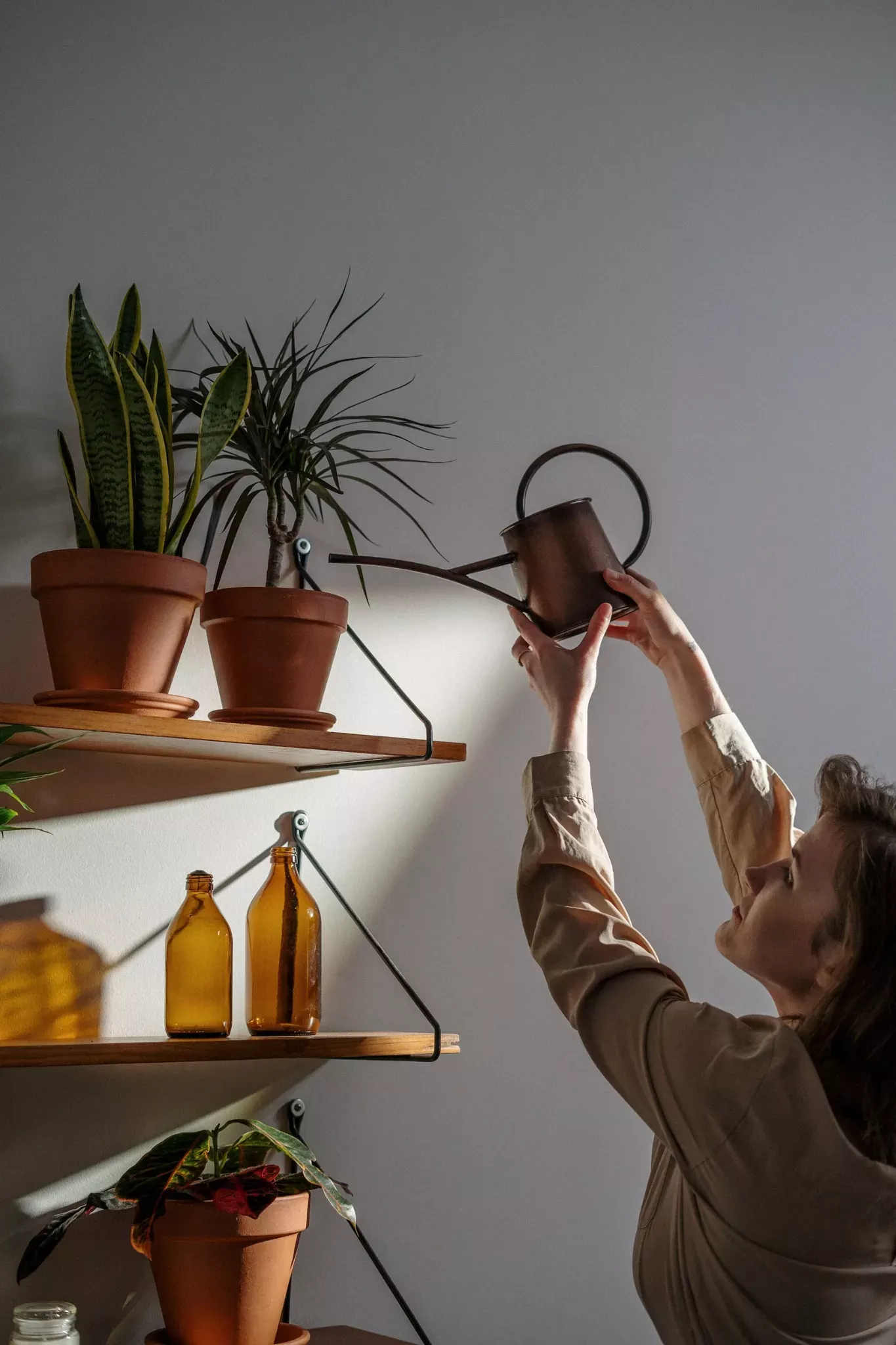 Person vattnar kontorsväxter i krukor, symbol för gröna arbetsmiljöer med Joyweek